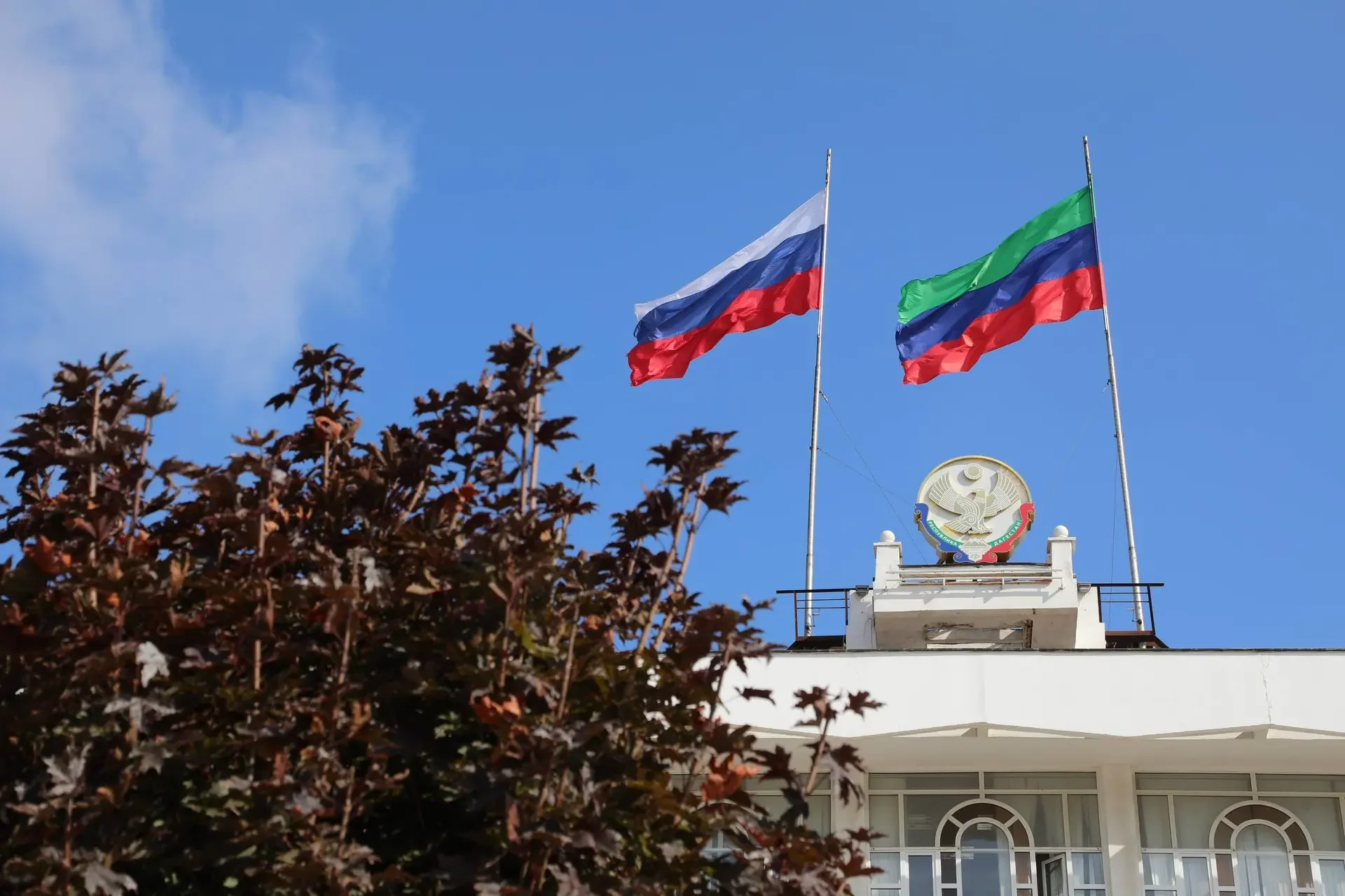 Назначен новый общественный помощник главы правительства РД