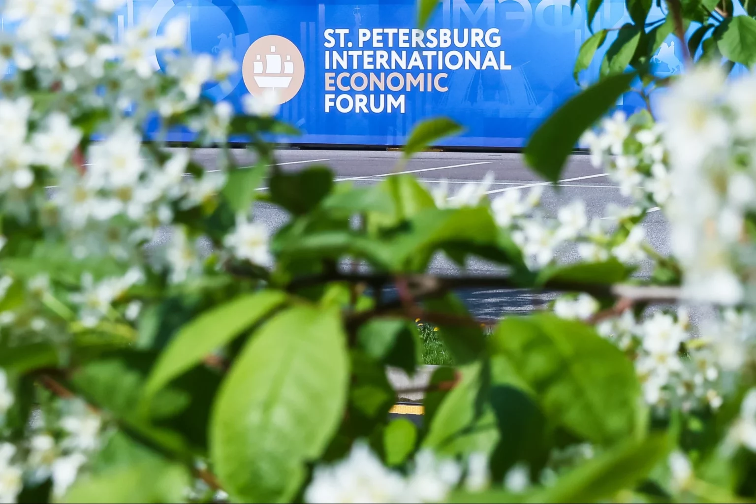 Форум вопреки санкциям: на ПМЭФ-2026 приедут представители более 100 стран, включая делегации из США и Германии
